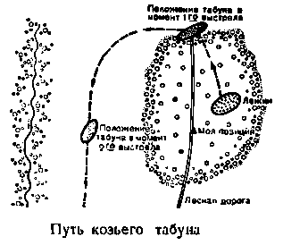 Необычные случаи на охоте и рыбной ловле - pic_11.png