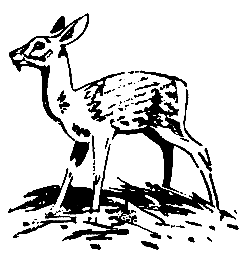 Необычные случаи на охоте и рыбной ловле - pic_8.png