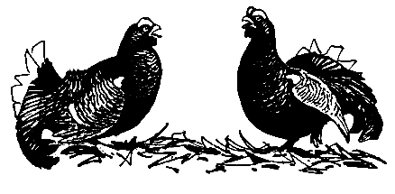 Необычные случаи на охоте и рыбной ловле - pic_26.png