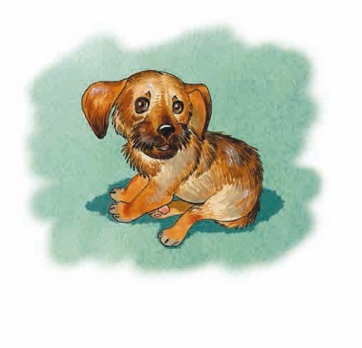 Как я был самостоятельным (сборник) - i_011.jpg