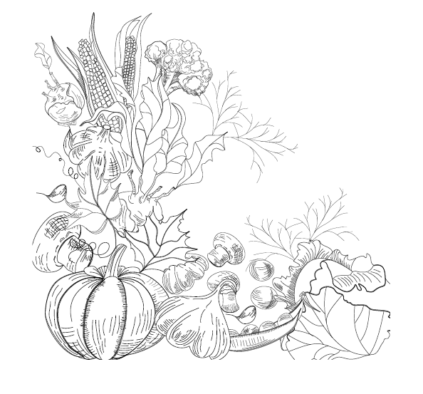 Лунный календарь огородника на 2017 год - i_002.png