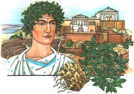 Ключ-трава - i_099.jpg