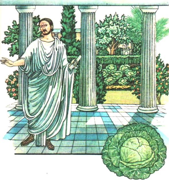 Ключ-трава - i_100.jpg