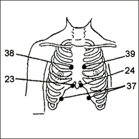 Акупунктура без иголок - doc2fb_image_03000016.png