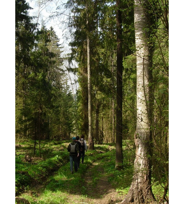 Путешествия по следам родни (СИ) - image1_5ccea4d7c5c4910007cbe90c_jpg.jpeg