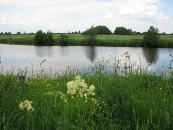 Путешествия по следам родни (СИ) - image6_5ccea2d6565d950006d28000_jpg.jpeg