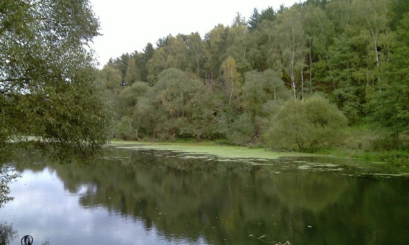 Путешествия по следам родни (СИ) - image7_5ccea231565d950006d27fd7_jpg.jpeg