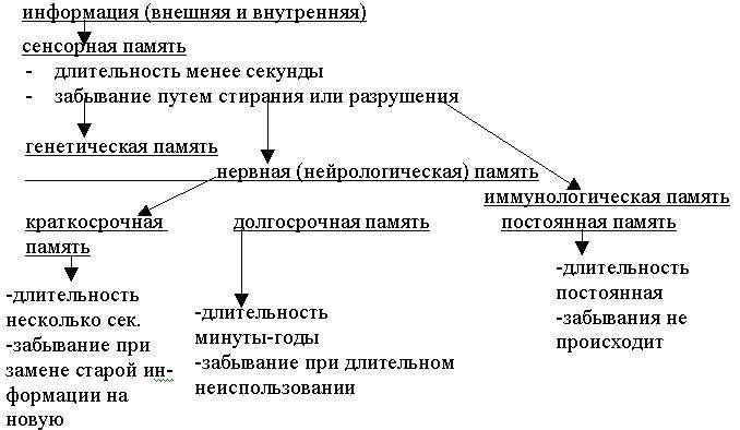 Информационная СК-терапия (СИ) - _1.jpg