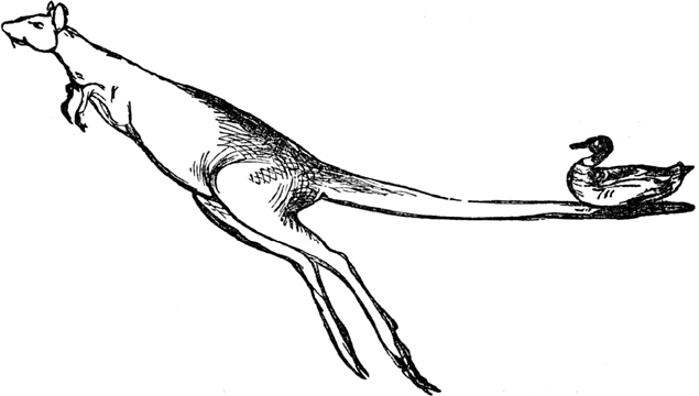 Чистый nonsense (сборник) - _124.png