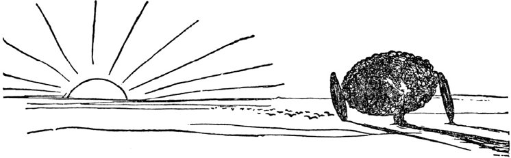 Чистый nonsense (сборник) - _149.png