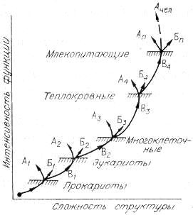 Энергия и жизнь - i_030.jpg