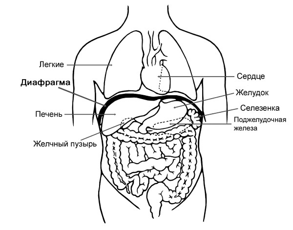 Парадоксальное дыхание для начинающих - i_009.jpg