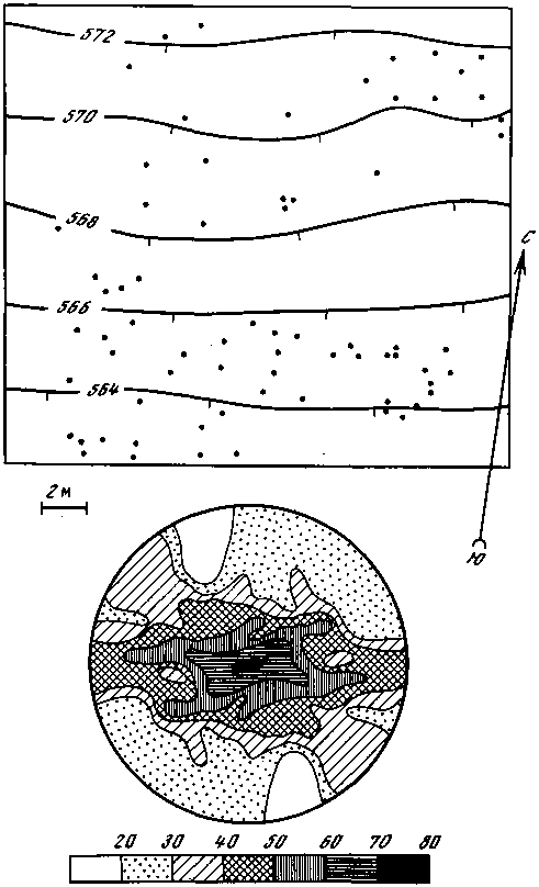 Азбука рисунков природы - i_050.png