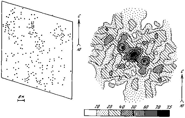 Азбука рисунков природы - i_057.png