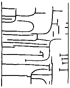 Азбука рисунков природы - i_127.png