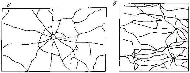 Азбука рисунков природы - i_136.png