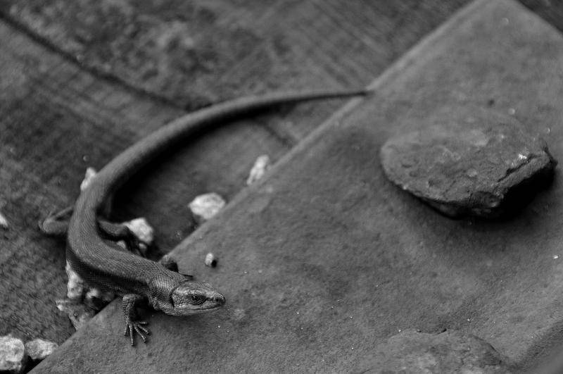 Вокруг света - i_012.jpg