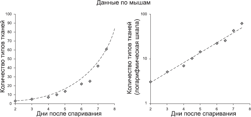 Онтогенез. От клетки до человека - _85.png