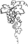 Умный виноградник без хлопот - _133.png
