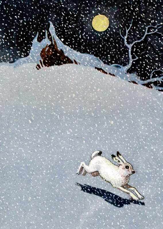 Сорочьи сказки - i_005.jpg