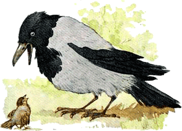 Сорочьи сказки - i_006.png