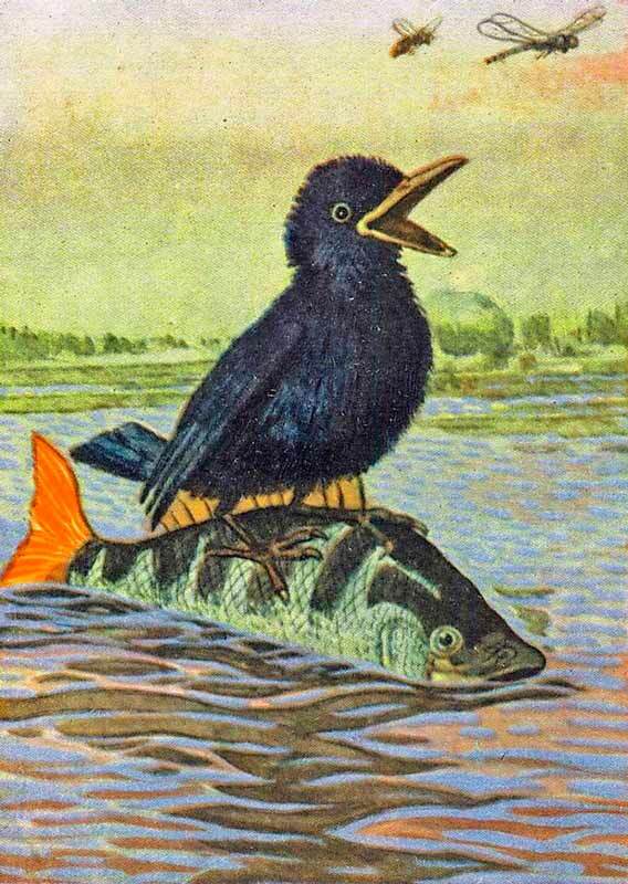 Сорочьи сказки - i_007.jpg