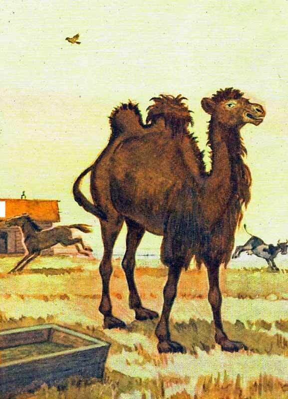 Сорочьи сказки - i_008.jpg