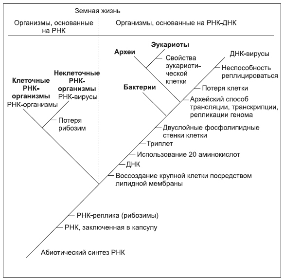 Новая история происхождения жизни на Земле - i_004.jpg