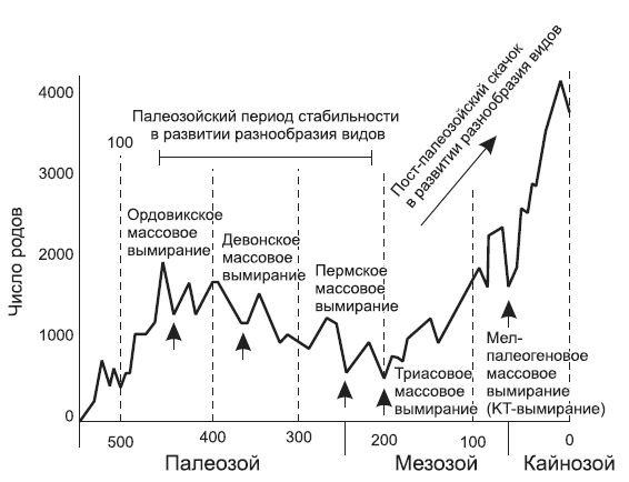 Новая история происхождения жизни на Земле - i_013.jpg