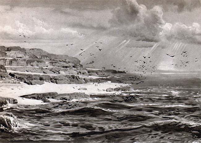 Летающие ящеры и древние птицы - _24.jpg