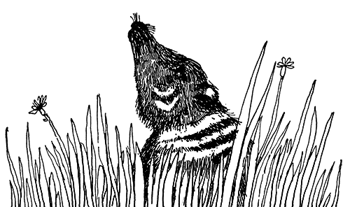 Татуированный пес - i_027.png