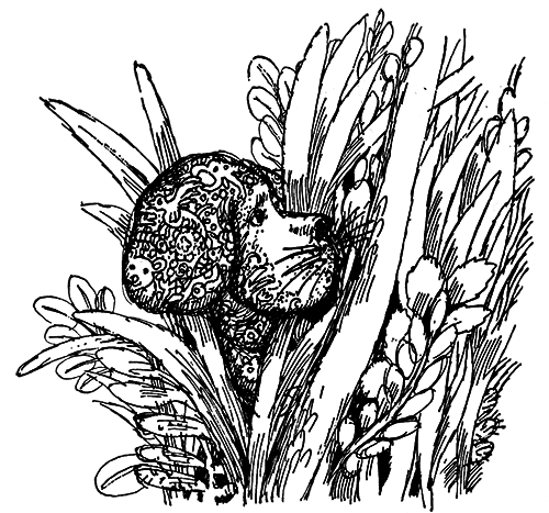 Татуированный пес - i_031.png