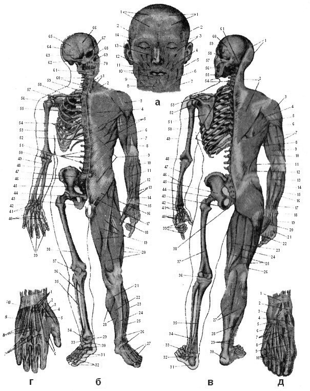 Лечебная гимнастика при нарушении осанки у детей - doc2fb_image_02000001.jpg