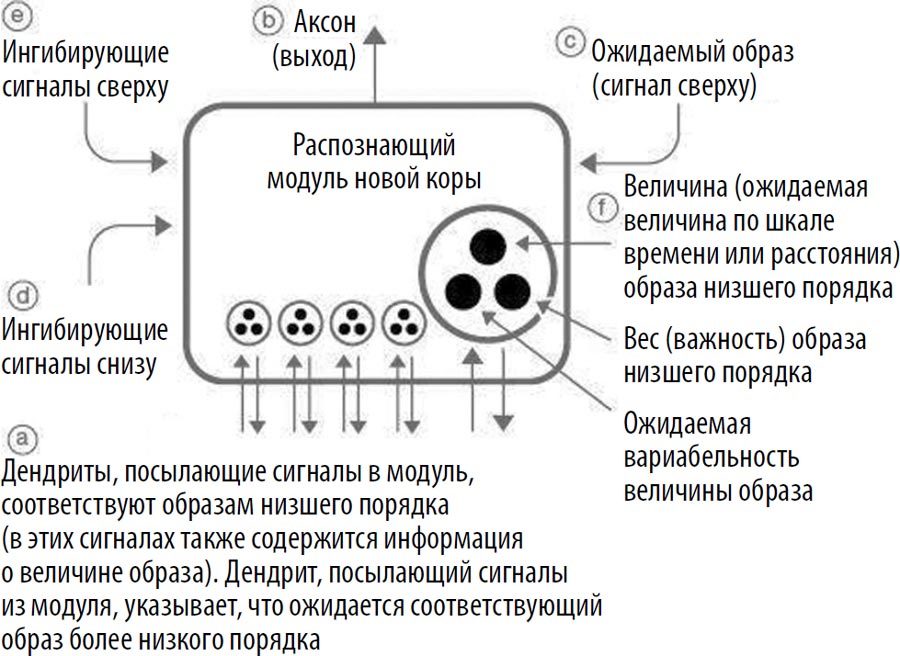 Эволюция разума, или Бесконечные возможности человеческого мозга, основанные на распознавании образов - i_007.jpg