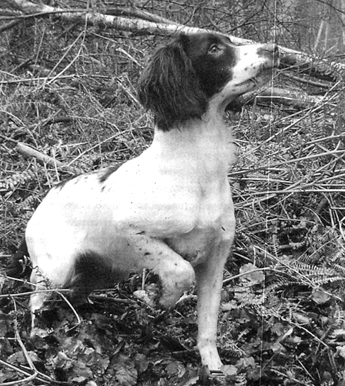 Абсолютное послушание - i_019.jpg