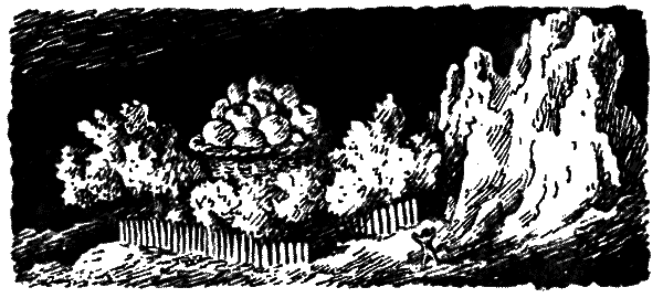 Волшебный двурог - wd_136.png