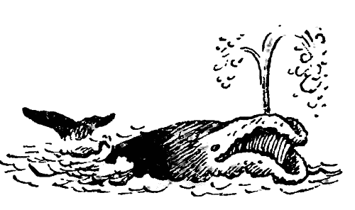 Волшебный двурог - wd_173.png