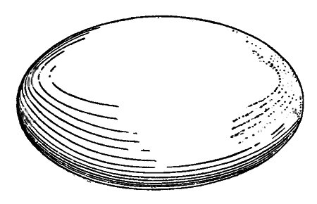 Волшебный двурог - wd_190.png