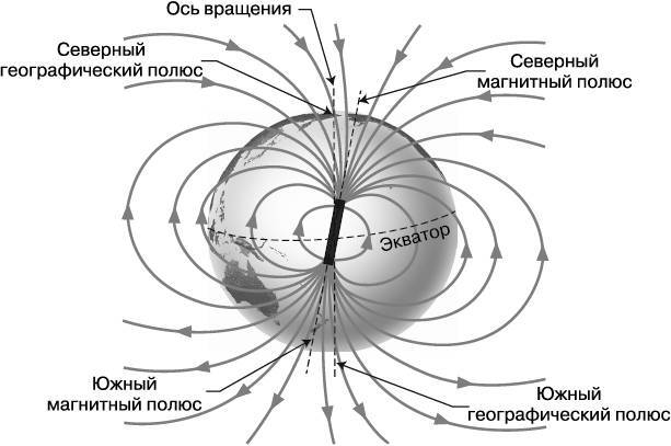 Жизнь на грани. Ваша первая книга о квантовой биологии - i_001.jpg