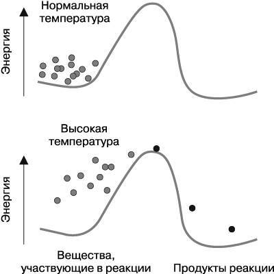 Жизнь на грани. Ваша первая книга о квантовой биологии - i_003.jpg