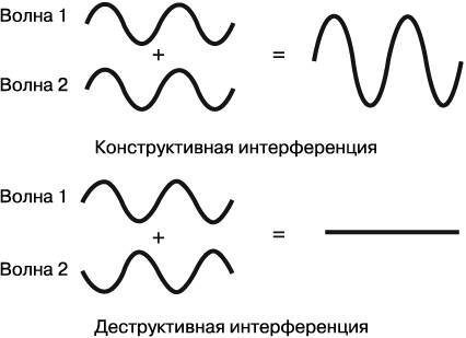 Жизнь на грани. Ваша первая книга о квантовой биологии - i_009.jpg