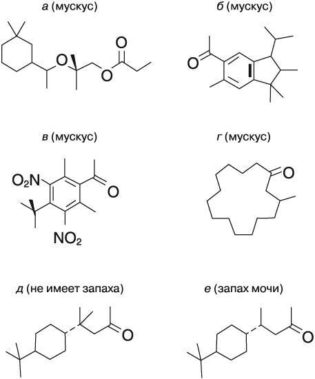 Жизнь на грани. Ваша первая книга о квантовой биологии - i_017.jpg