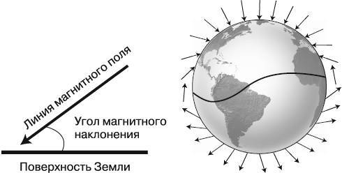 Жизнь на грани. Ваша первая книга о квантовой биологии - i_020.jpg