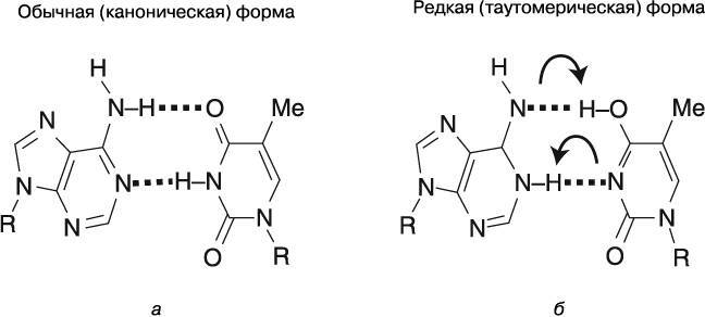 Жизнь на грани. Ваша первая книга о квантовой биологии - i_023.jpg