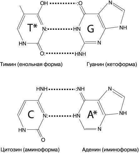 Жизнь на грани. Ваша первая книга о квантовой биологии - i_024.jpg