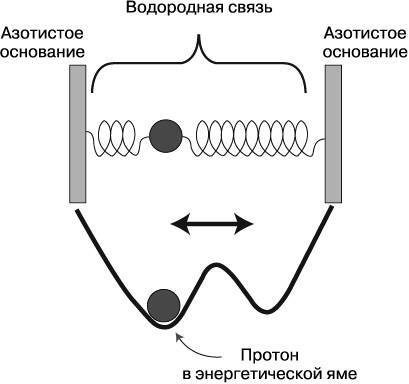 Жизнь на грани. Ваша первая книга о квантовой биологии - i_025.jpg