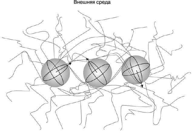 Жизнь на грани. Ваша первая книга о квантовой биологии - i_030.jpg