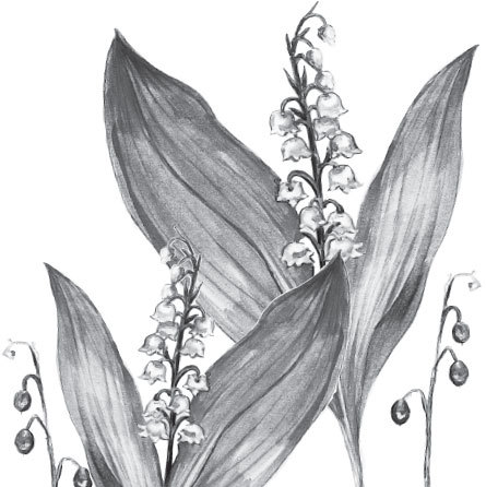 Русский лес. С вопросами и ответами для почемучек - _9.jpg