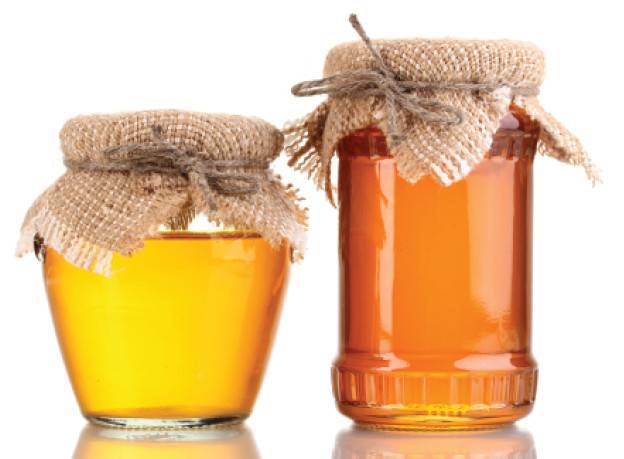 Мед и все продукты пчеловодства. Как выбрать и как хранить - i_010.jpg