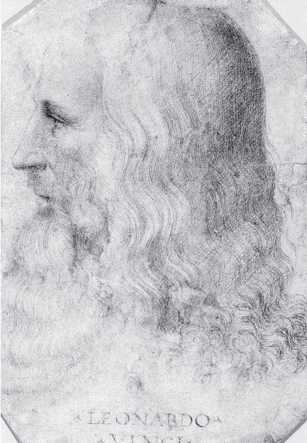 Леонардо да Винчи. Микеланджело. Рафаэль. Рембрандт (сборник) - i_003.jpg